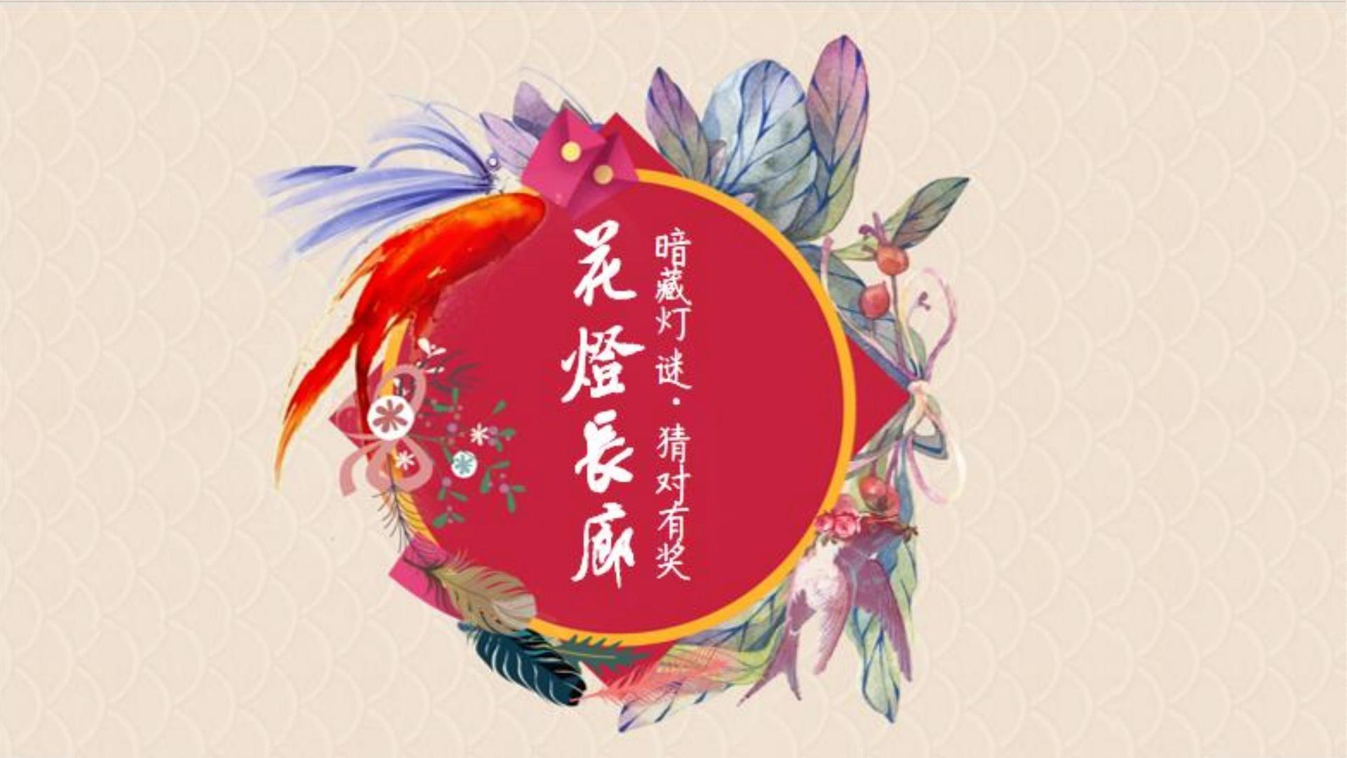 碧月传媒高端影视